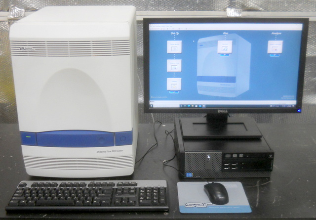 7500 Real-Time PCR System