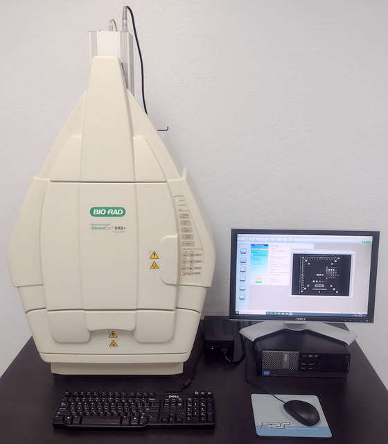 ChemiDoc XRS+ Gel Photo Documentation System